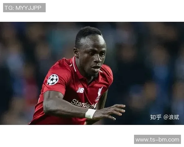 非洲章鱼头足球明星的传奇故事与辉煌成就解析